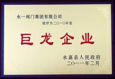 2010巨龍企業(yè)